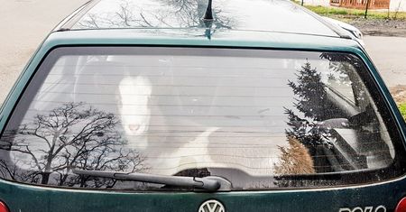 Lubuskie. Pijany jechał autem. Policjanci nie wierzyli, gdy otworzyli bagażnik