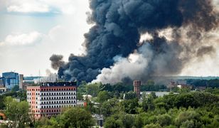 Seria pożarów w Polsce. Do akcji wkracza Rada Ministrów