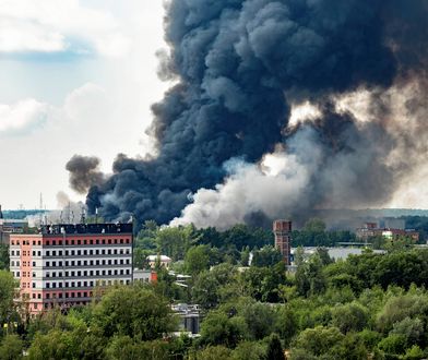 Seria pożarów w Polsce. Do akcji wkracza Rada Ministrów