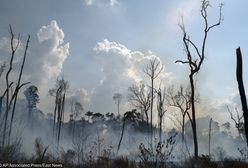 Amazonia w ogniu. Światowi przywódcy podejmują działania. Wojciech Cejrowski: Nie chce mi się wierzyć w te pożary