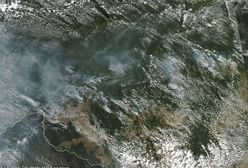 Ekologiczny koniec świata. Płoną lasy w Amazonii. Tylko one chronią nas przed drastyczną zmianą klimatu