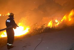 Chorwacja. Potężne pożary lasów sosnowych na południu kraju