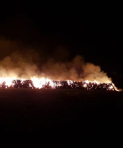 Opolskie. Pożar słomy w Lisięcicach. Straty na ok. 300 tys. zł