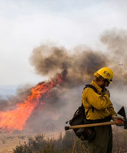 Pożary w Kalifornii. Tysiące ewakuowanych, płonie ogromny obszar