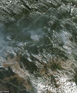 Ekologiczny koniec świata. Płoną lasy w Amazonii. Tylko one chronią nas przed drastyczną zmianą klimatu