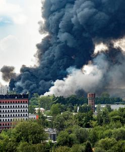 Seria pożarów w Polsce. Do akcji wkracza Rada Ministrów
