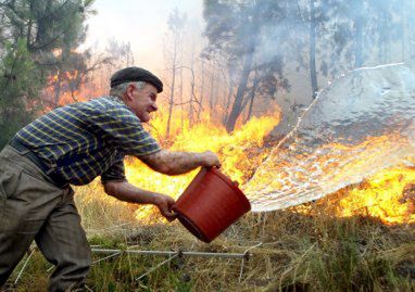 Portugalia prosi UE o pomoc w walce z pożarami lasów