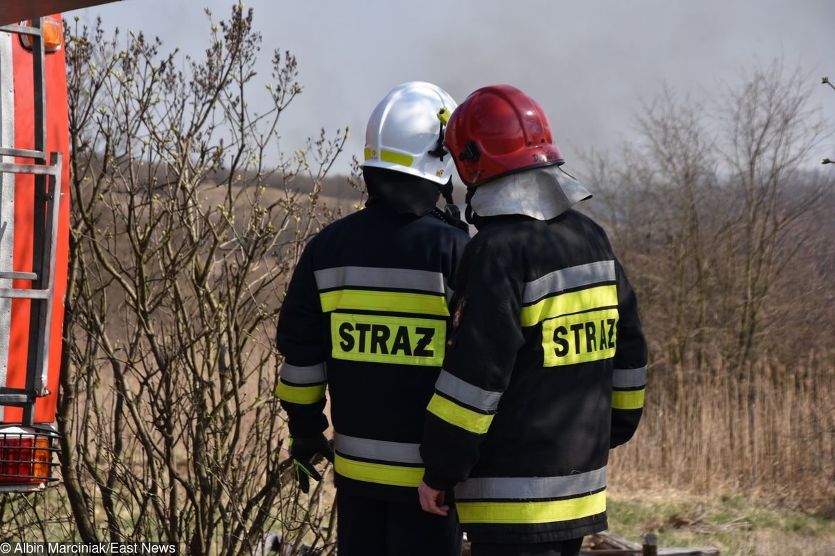 Duży pożar niedaleko Łodzi. Ponad stu strażaków w akcji