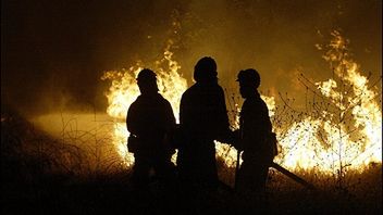 Strażacy próbują uchronić mieszkańców przed szalejącym ogniem