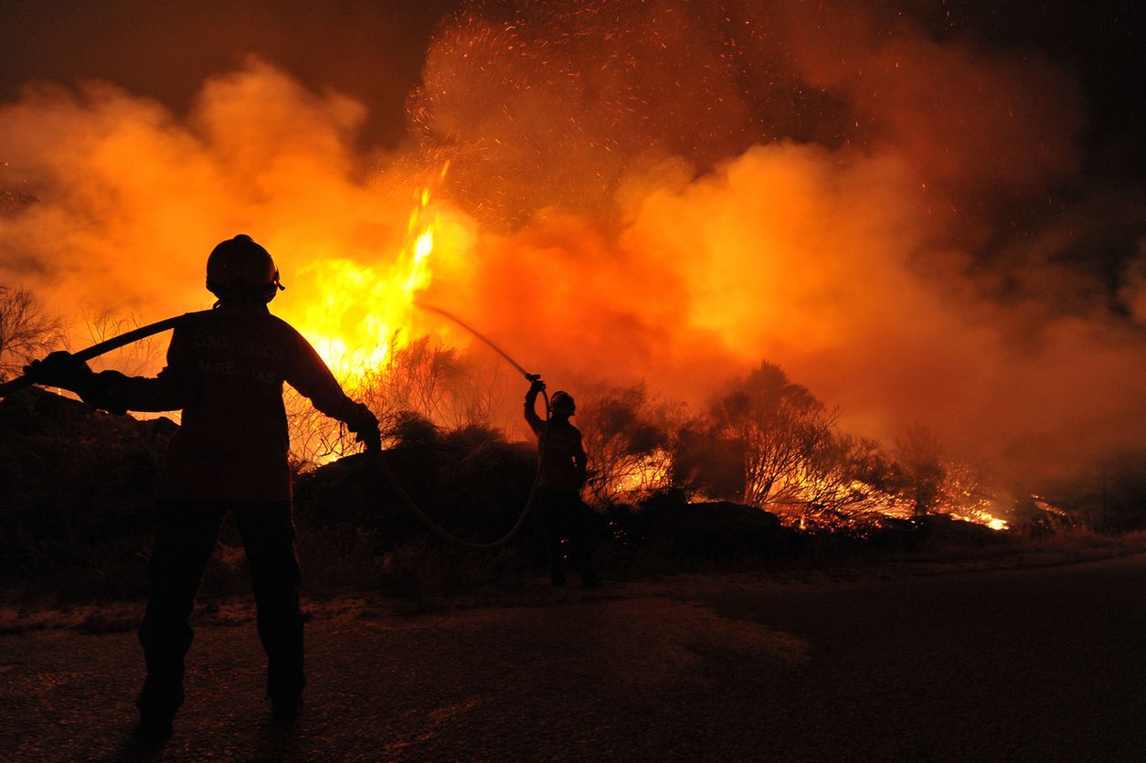 Grecja. Ogromny pożar na wyspie Eubea. Stan wyjątkowy i ewakuacja mieszkańców
