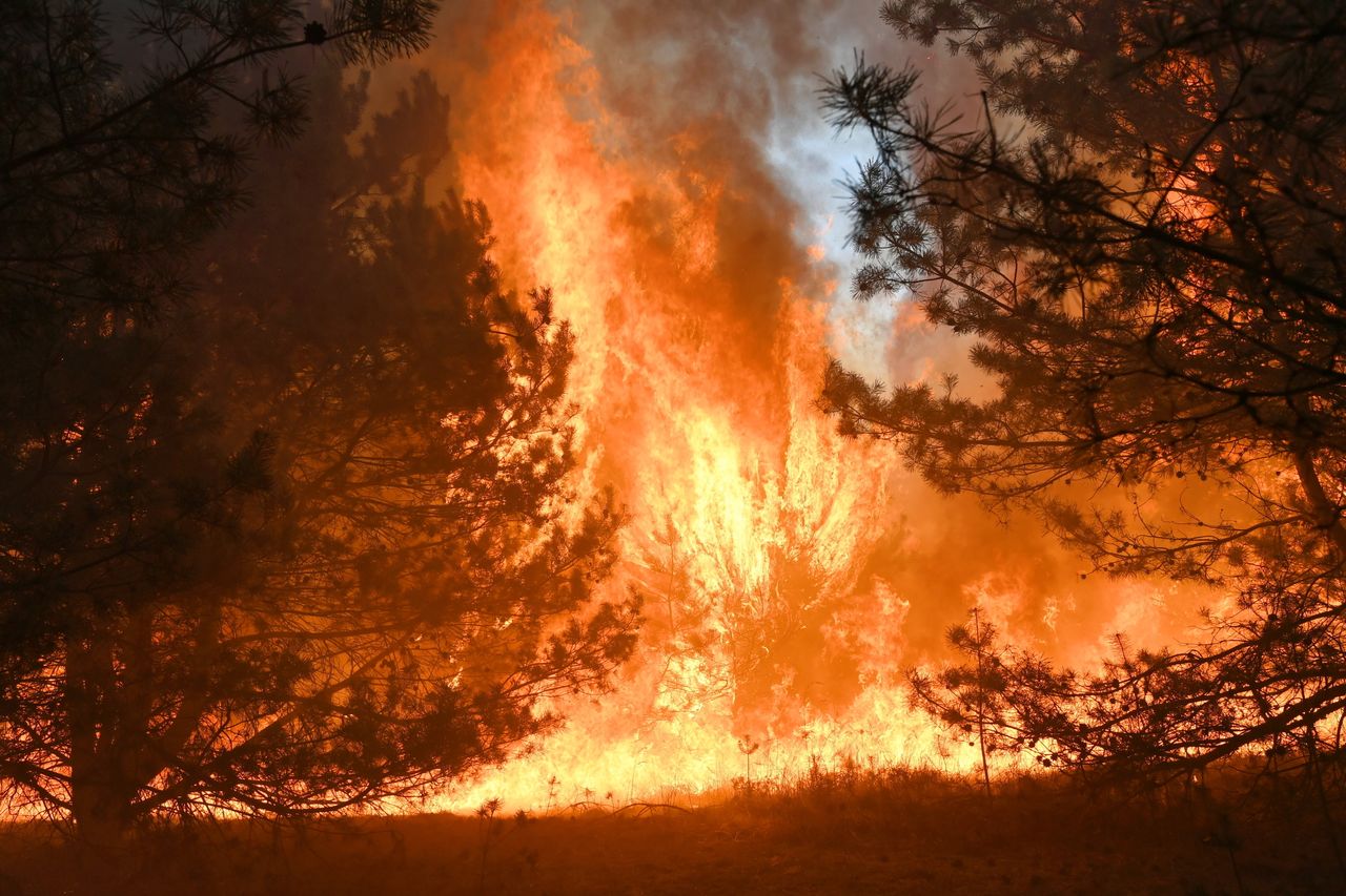 Kampinos. Ogromny pożar pod Warszawą. Płonie 15 hektarów lasu