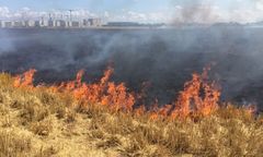 Pożar we Wrocławiu. Płonie łąka na Żernikach