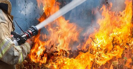 Mazowsze. 120 strażaków walczy z pożarem lasu