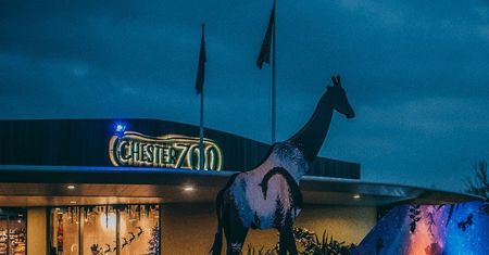 Pożar w brytyjskim zoo. Zginęło wiele zwierząt