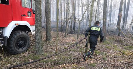 Straż pożarna ostrzega przed pożarami na Mazowszu