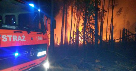 Potężny pożar lasu w Dziemianach. Gasili go prawie 8 godzin