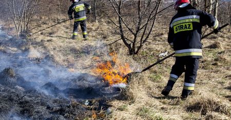 Mocno czuć wiosnę. Wypalanie traw wróciło na potęgę