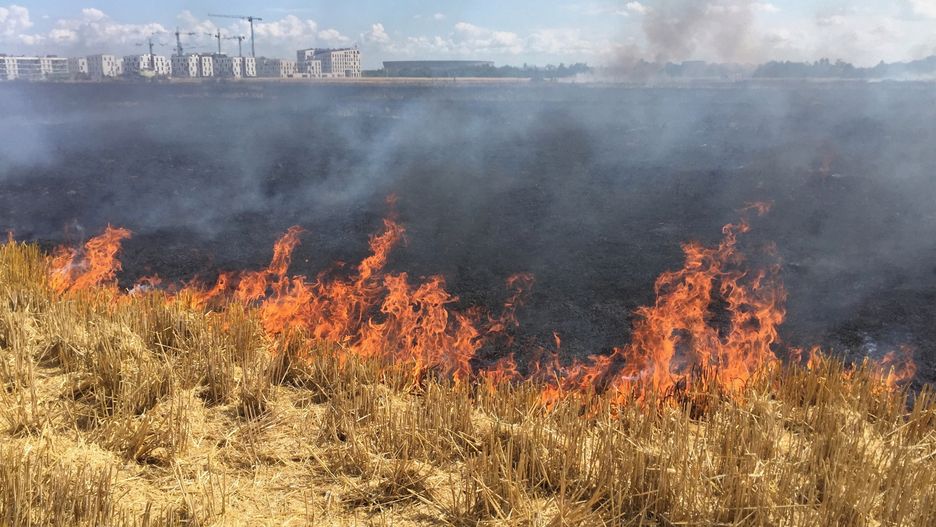 Pożar we Wrocławiu