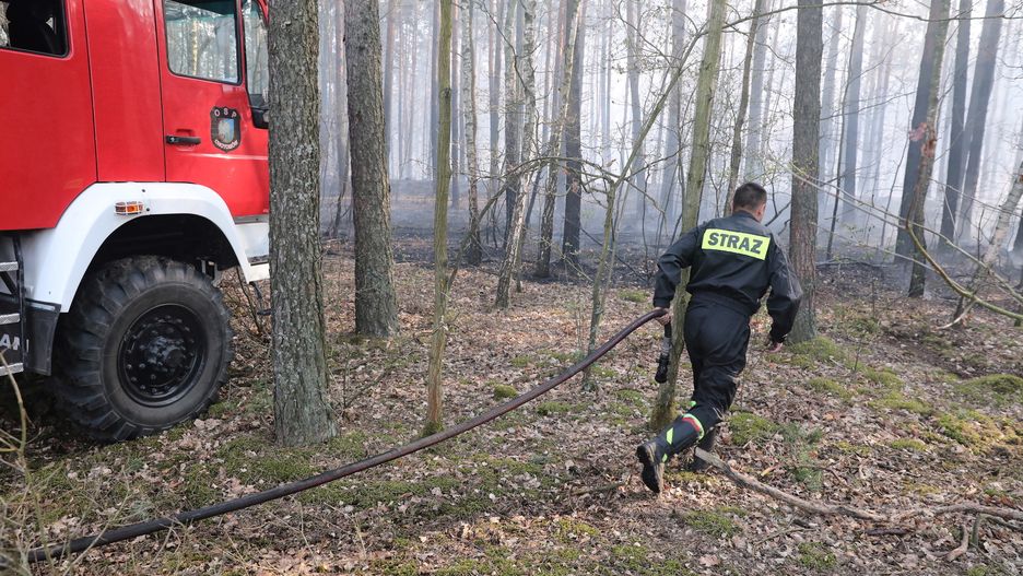 Mazowiecka Straż Pożarna informuje o dużym zagrożeniu wystąpienia pożarów w lasach