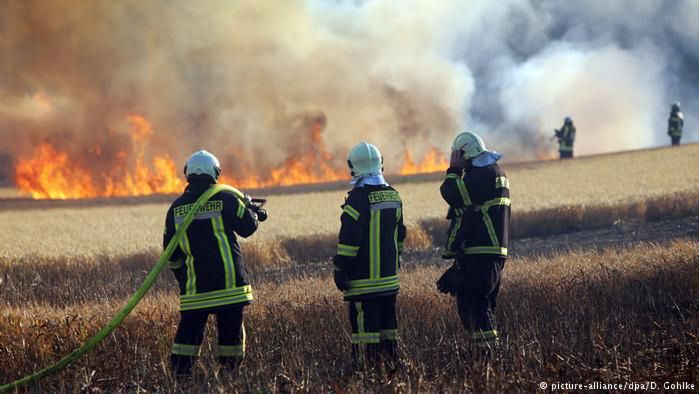 Płoną niemieckie lasy i pola przy polskiej granicy