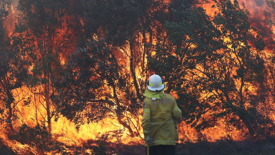 Po pożarach w Amazonii ogień wybuchł w Australii