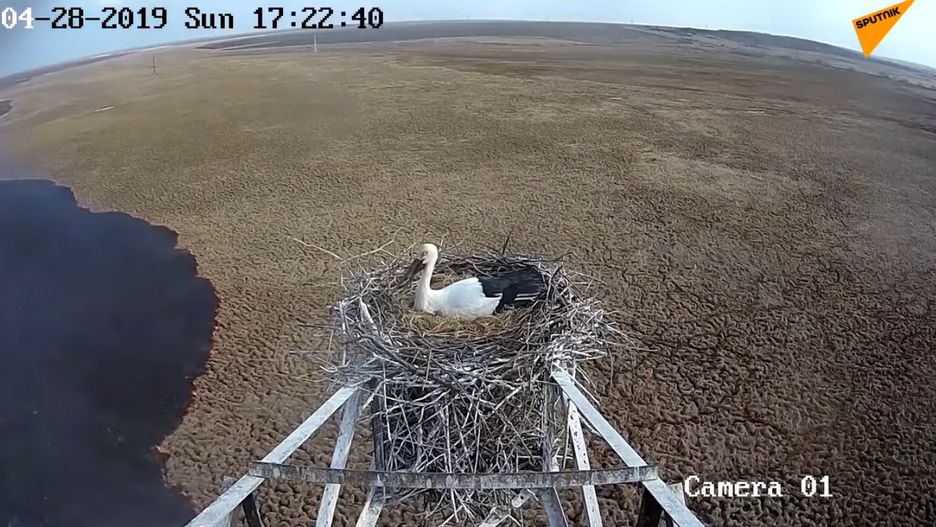 Ogień nadchodzi od lewej strony