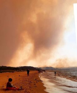 Pożary w Australii. "Ostrożnie ze zbiórkami, może się skończyć jak z Seicento dla Sebastiana"