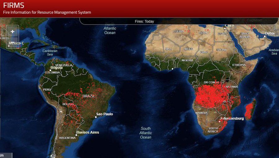 Amazonia oraz Afryka Środkowa w ogniu. Informacje o pożarach systemu zarządzania zasobami (24.08.19 r.) 