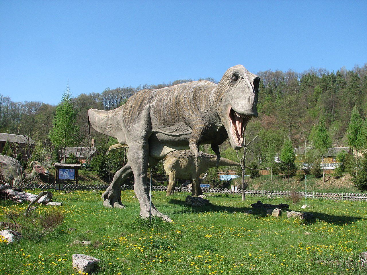 Czy tyranozaur był… padlinożercą 