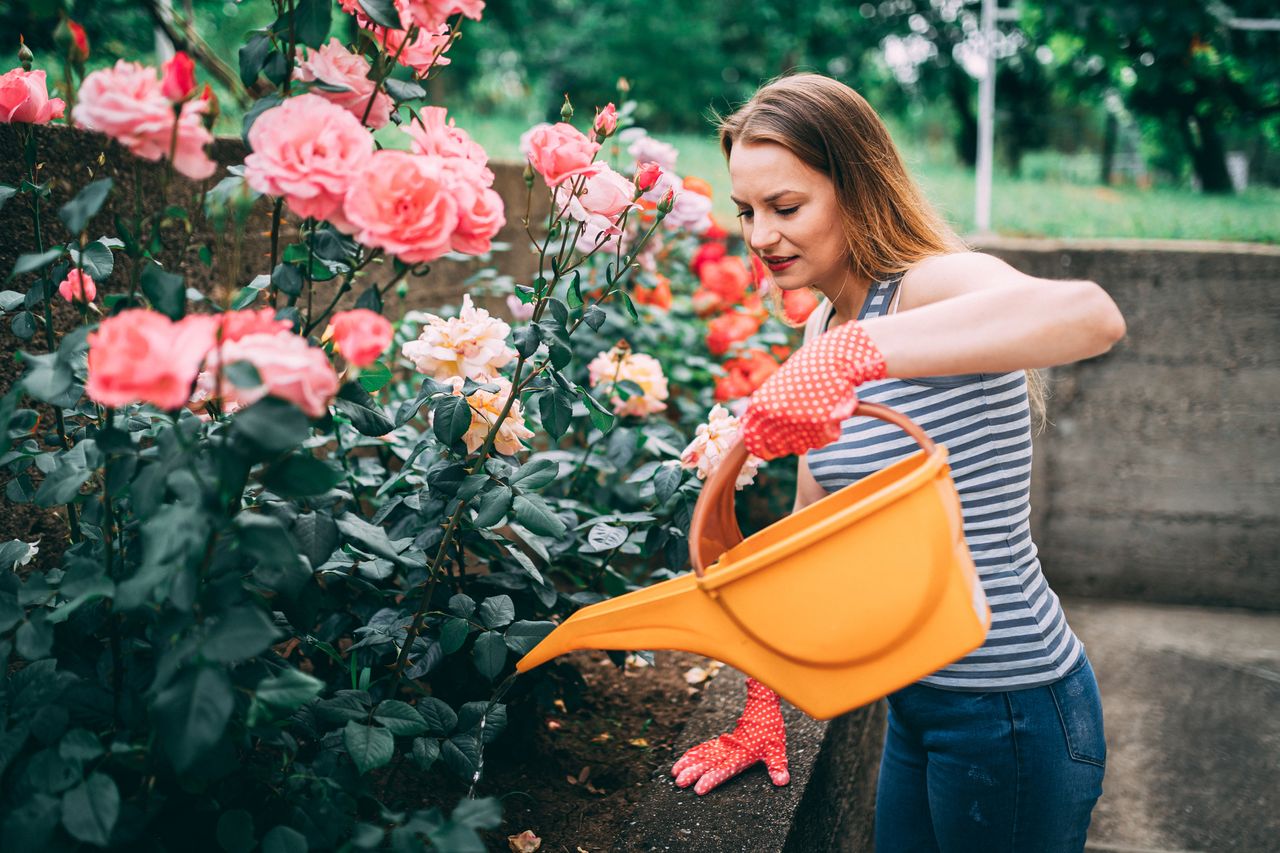 Beautiful young woman taking care of flowers and watering roses in the backyard at home