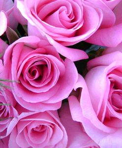 Dzień Matki już w sobotę! Nie zapomnij o życzeniach