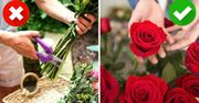 Róże w wazonie więdną? Unikniesz tego problemu znając jedną podstawową zasadę