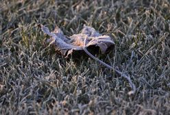 Pogoda dziś - 1 października. Nad ranem mróz, w ciągu dnia nawet 20 stopni