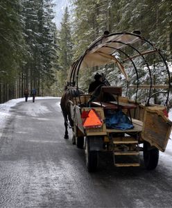 Podhale. Zwoził turystów z Morskiego Oka. Ledwo trzymał lejce