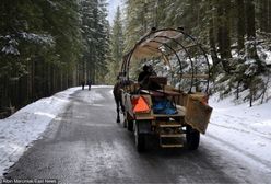 Podhale. Zwoził turystów z Morskiego Oka. Ledwo trzymał lejce