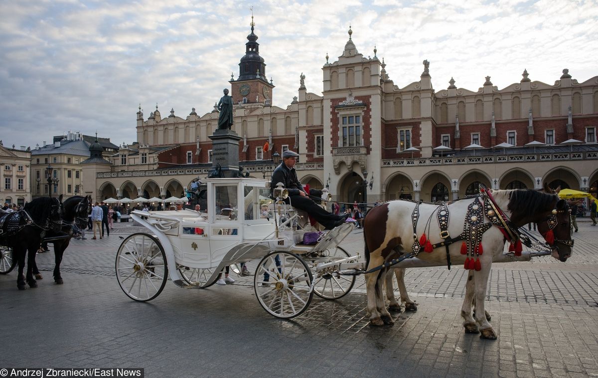 Kraków. Wpłynęło zawiadomienie o przeciążaniu koni dorożkarskich