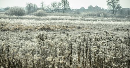 Pogoda. Będzie zimno, pojawią się przymrozki. Ale deszczu nadal mało