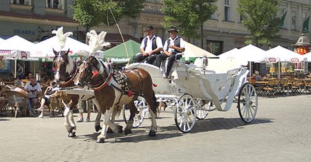 Takiego absurdu świat nie widział!