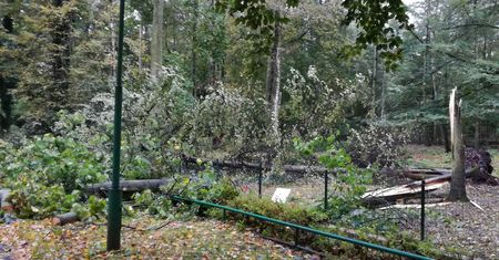 Orkan zniszczył poznańskie zoo. "Dramatyczne straty"