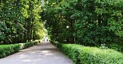 Poznaj Poznań od strony natury, czyli 5 najpiękniejszych parków i ogrodów w Poznaniu