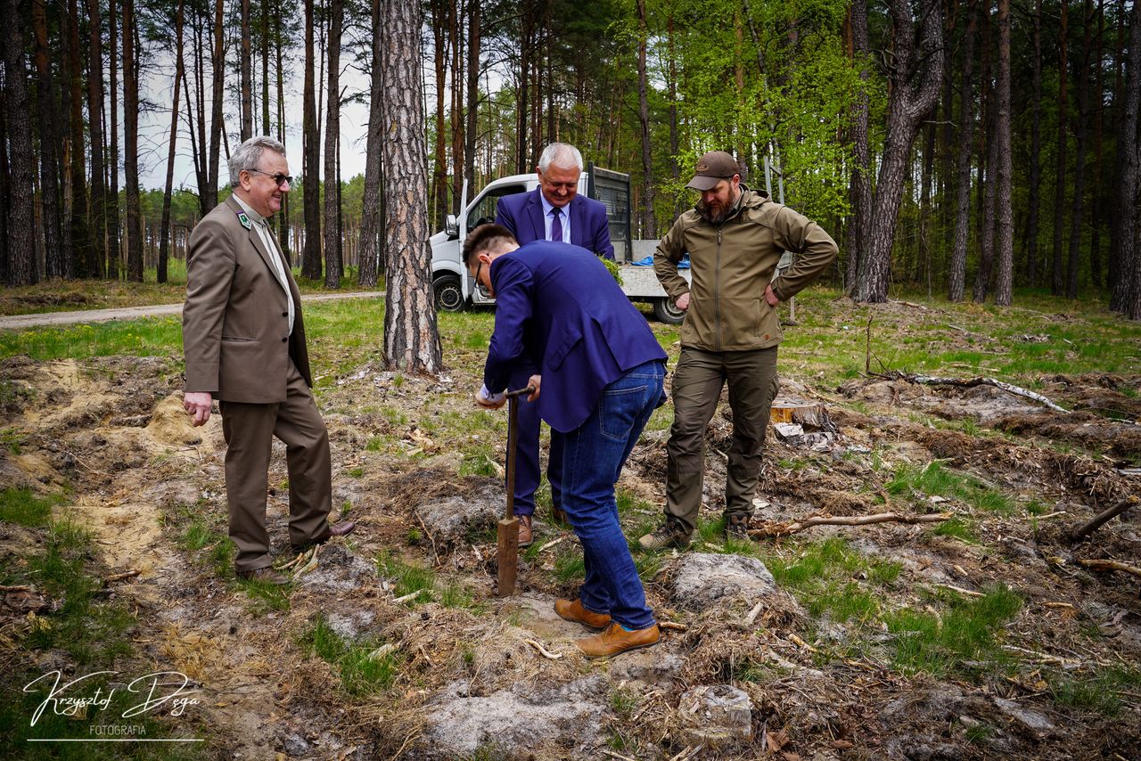 Łączą nas drzewa