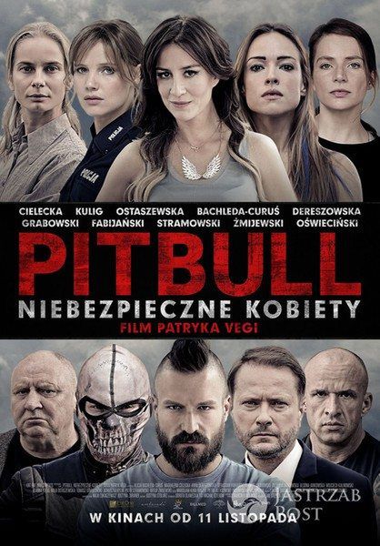 pitbull niebezpieczne kobiety
