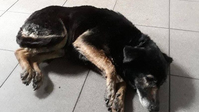 Sara dochodzi do siebie