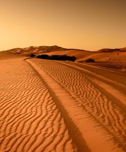 Maroko czyli kolor, orient i piaski pustyni