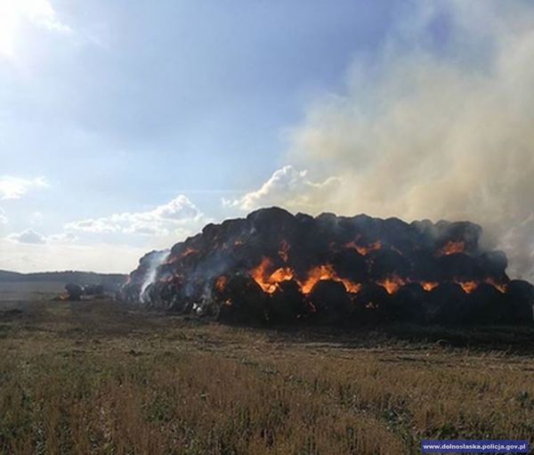 Zabawa 11-latków zakończyła się pożarem. Straty sięgnęły kilkudziesięciu tysięcy złotych