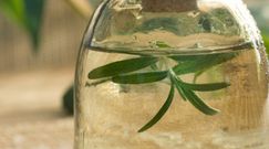 Woda rozmarynowa – jak ją przygotować?