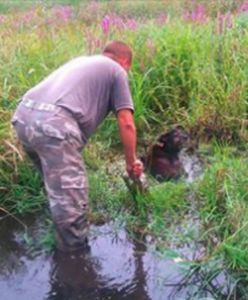 Żołnierz przyszedł na pogrzeb swojego przyjaciela w żółtej sukience i różowych skarpetkach