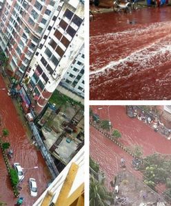 Muzułmańskie święto składania ofiar ze zwierząt sprawiło, że ulice miasta zalała rzeka krwi