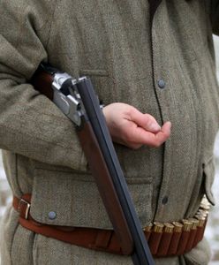 Myśliwy zastrzelił konia wartego fortunę. Myślał, że to... dzik