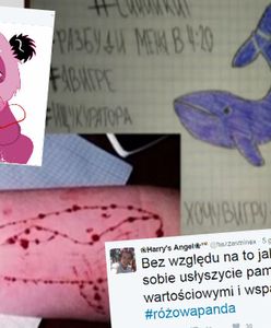 "Niebieski wieloryb" zabiija coraz więcej osób. Różowa panda może to zatrzymać